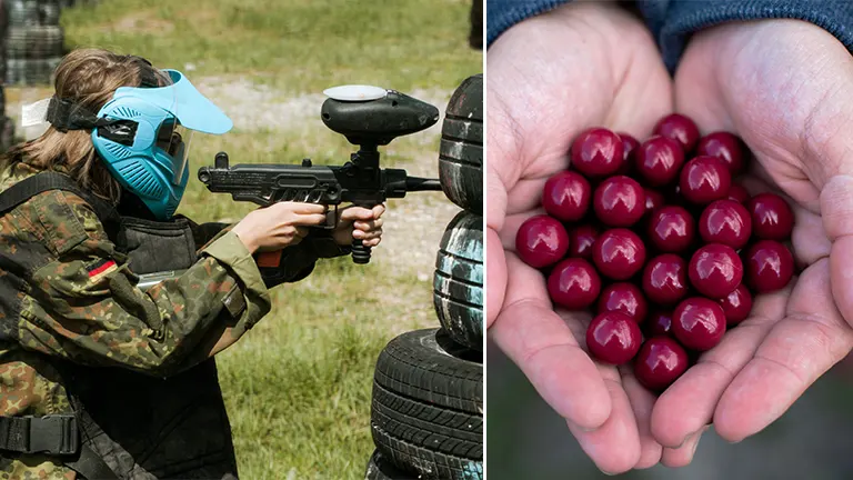Standard Paintball Size (Different Types of Paintballs)   